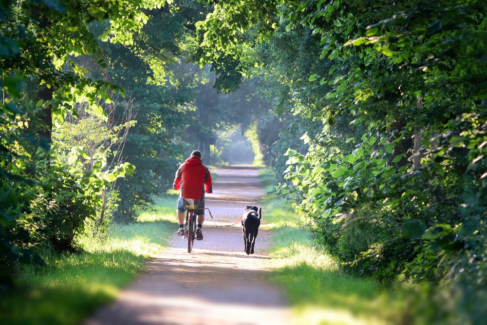 A cycle in the countryside. Exercise on an ebike is a good way to help combat many mental health issues