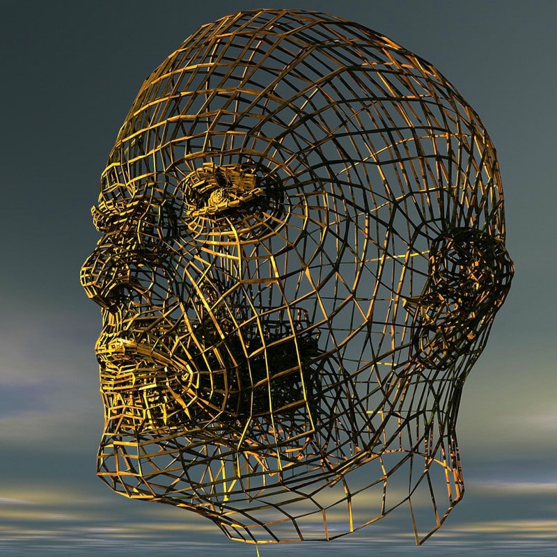 Wired Human Head