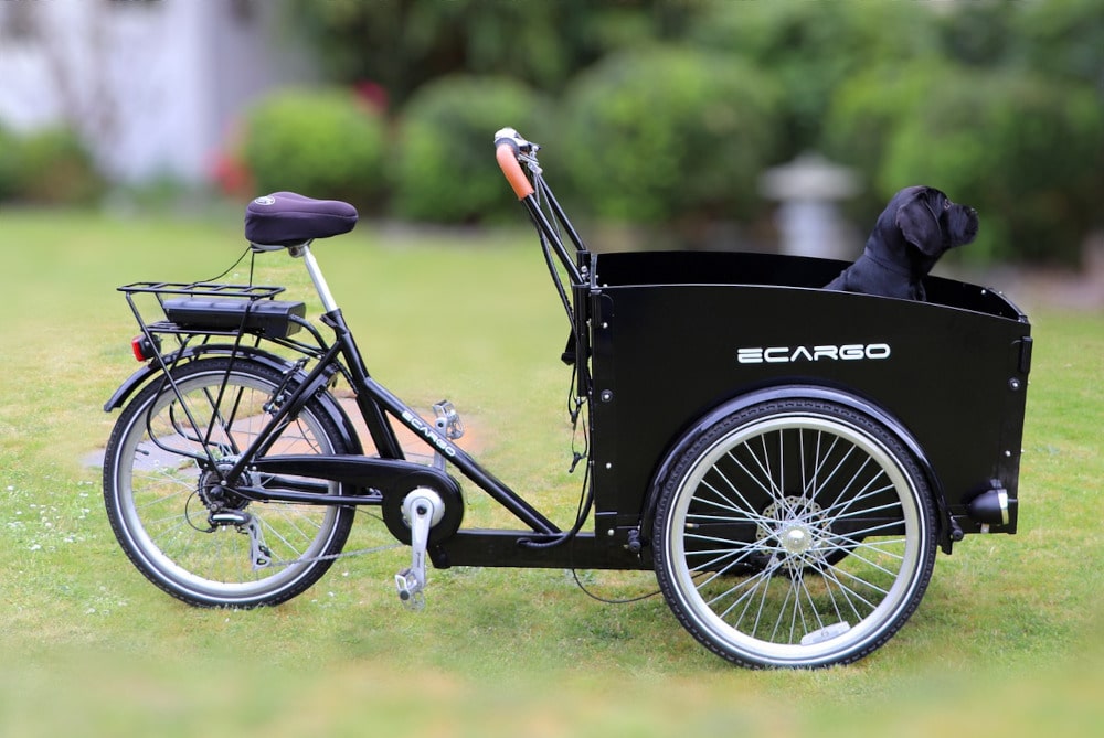 There are many two wheel and three wheel cargo ebikes available.